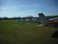 N45 Good looking tails.jpg