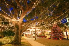 night of lights 2.jpg
