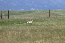 Alaska Trip 100.jpg