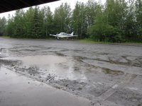 IMG_3319.jpg