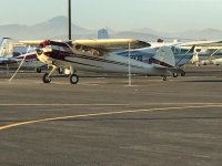 IMG_8814.jpg