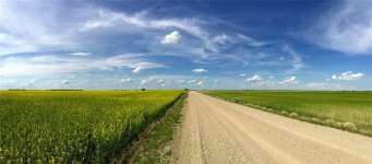 Watrous-Saskatchewan-gravel-road-and-fields.jpg