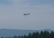 P47 Fly-by.jpg