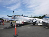 P47 up close.jpg