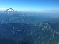 IMG_2238.jpg