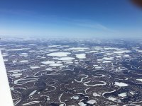 IMG_2471.jpeg