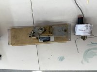 IMG_0395.JPEG