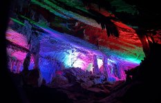 IMG_0516.jpeg