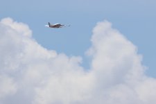 4A3A1773.JPG