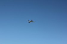 IMG_6946.jpg