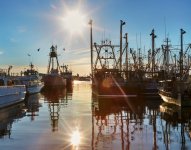 new bedford Scallops_2-780x615.jpg