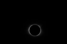 IMG_0340.jpg