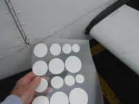 62M dots 003.jpg