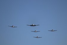 IMG_0743.jpg