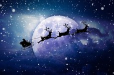 Flying deer.jpg